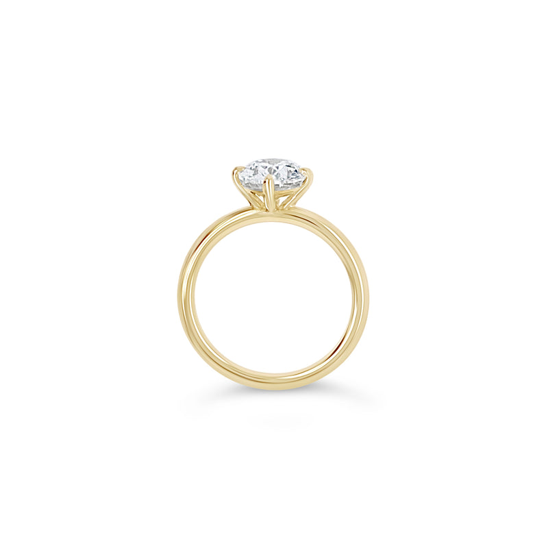 Compass Set Oval Ring
